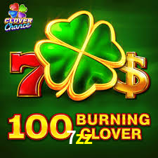 7zz,7zz bet